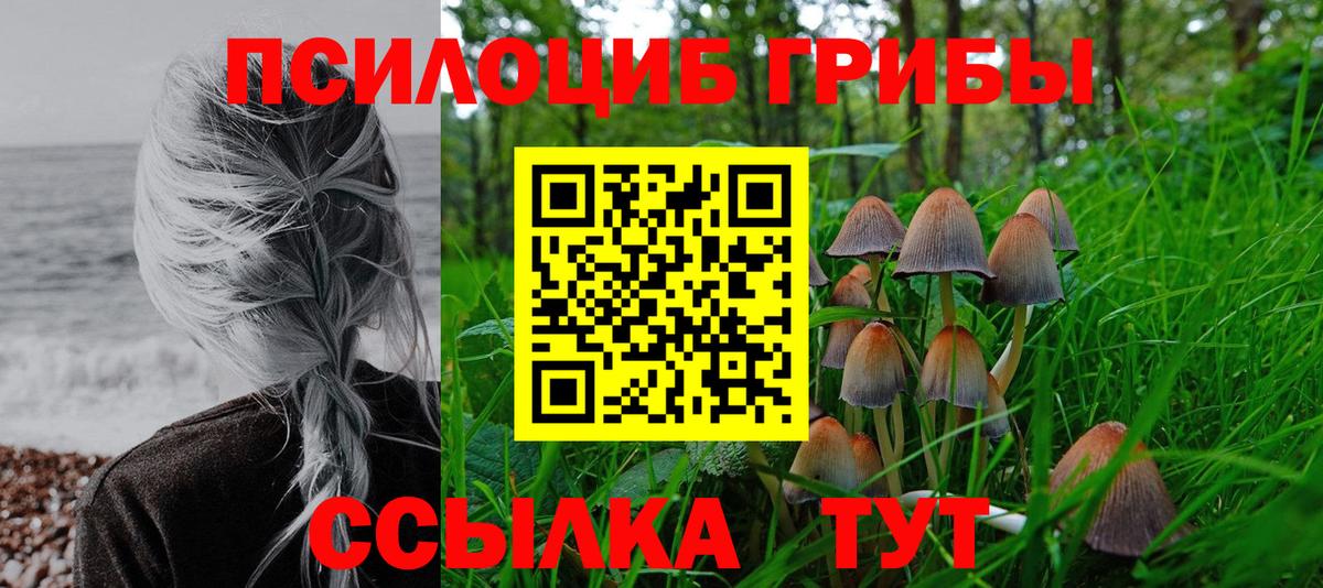 Псилоцибиновые грибы MAGIC MUSHROOMS Красноармейск